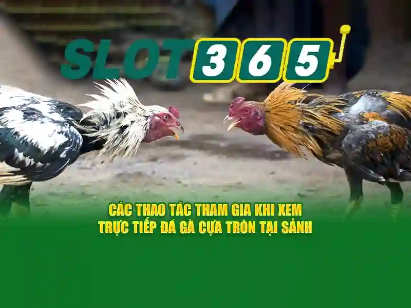 Slot365 là nền tảng giải trí quay số trực tuyến