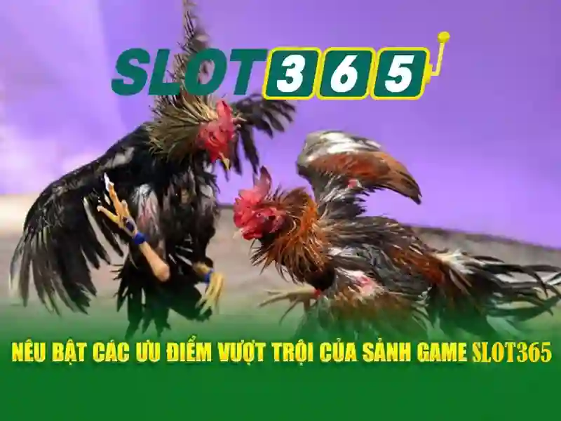 Đa dạng trò chơi và nhà cung cấp uy tín
