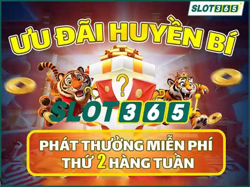 Slot365: Khám phá nền tảng chơi slots hiện đại