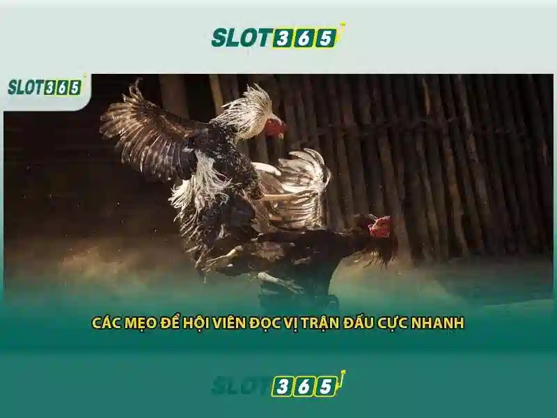 Trải nghiệm người dùng Slot365