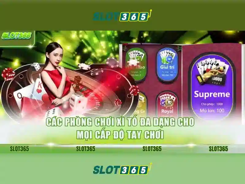 Slot365 - Tổng quan về nền tảng đánh bạc trực tuyến