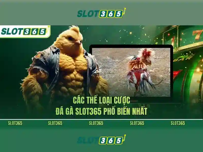 Slot365 - Nền tảng chơi slot trực tuyến uy tín và thú vị