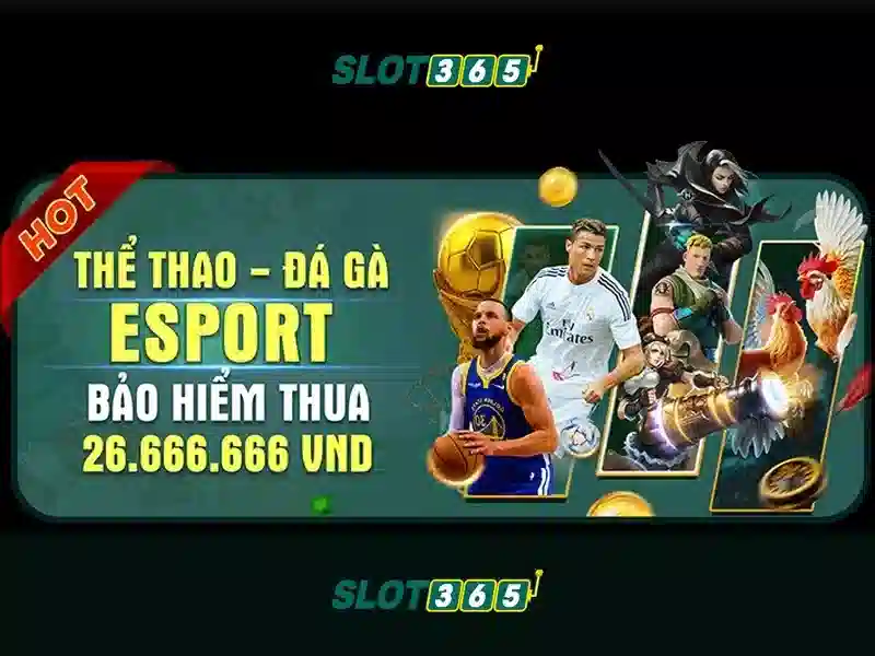 Slot365 - Đánh giá nền tảng máy đánh bạc trực tuyến phổ biến