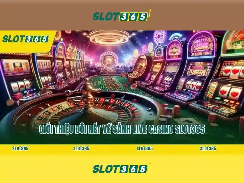 slot365-ho-tro-nguoi-choi 