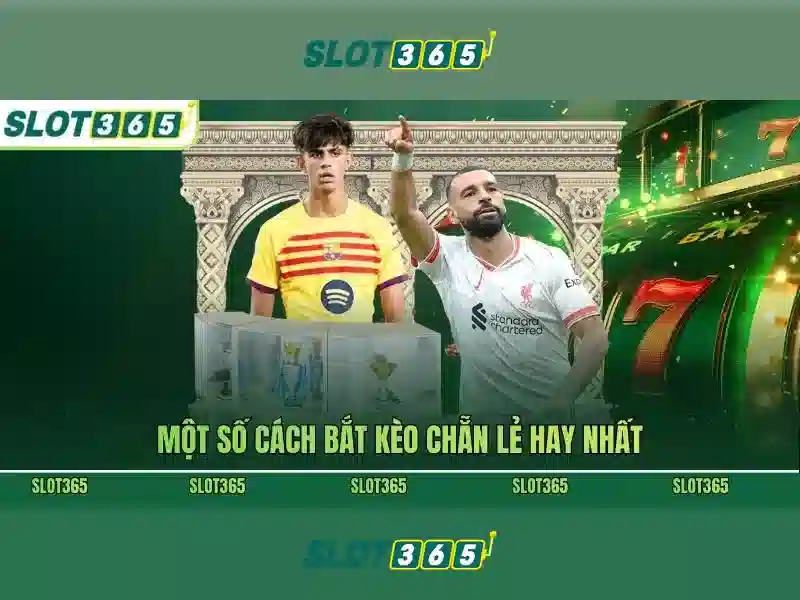 Slot365: Đánh giá nền tảng trò chơi quay số trực tuyến