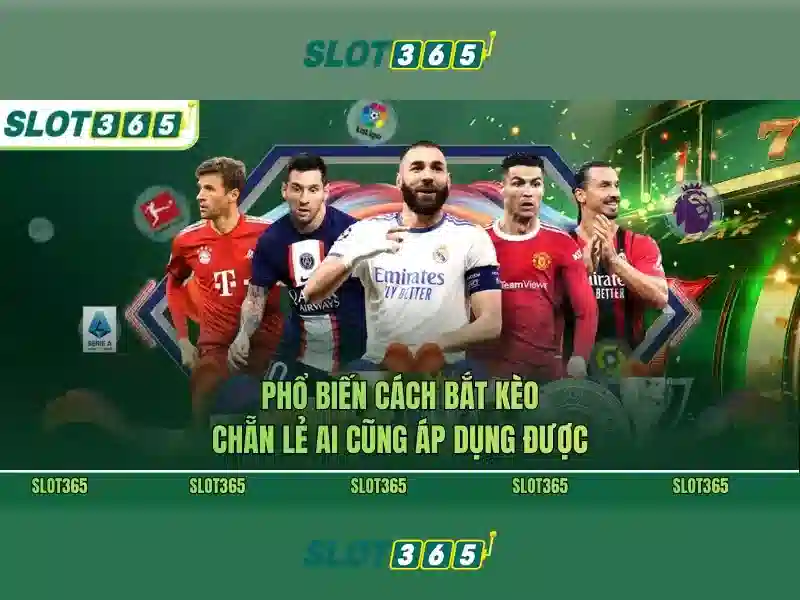 Lời kết và cách bắt đầu