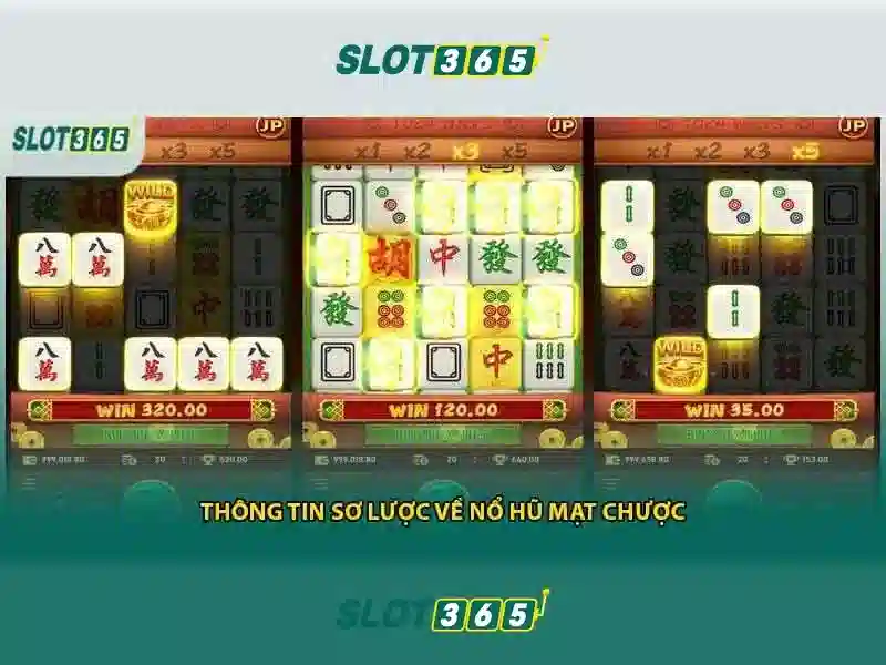 Slot365 – Nền tảng chơi slot trực tuyến phổ biến