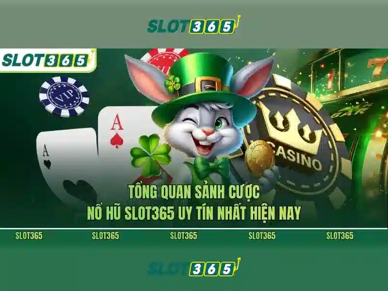 Slot365: Đánh giá và hướng dẫn chơi slots trực tuyến