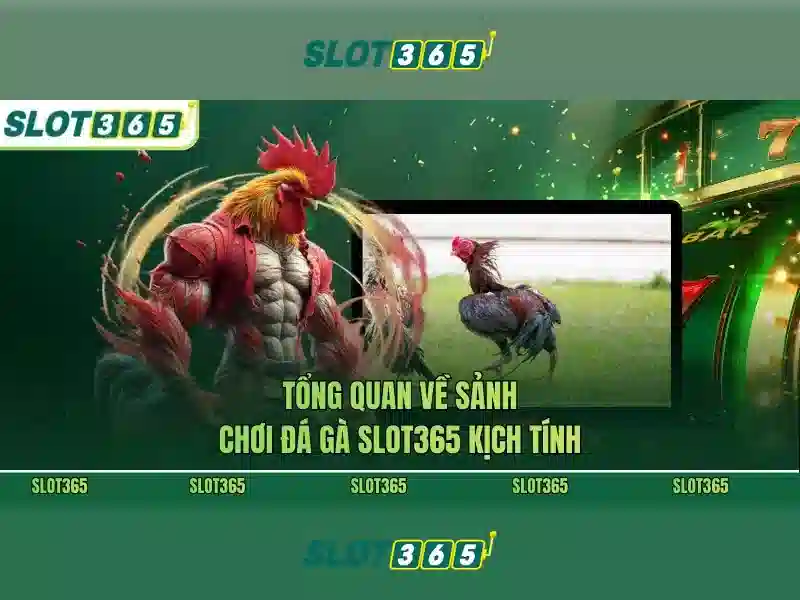 Slot365 là gì và tại sao người chơi quan tâm đến nó