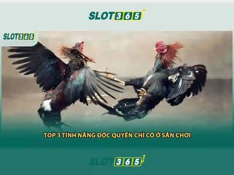 Slot365: Khu vui chơi casino trực tuyến hàng đầu
