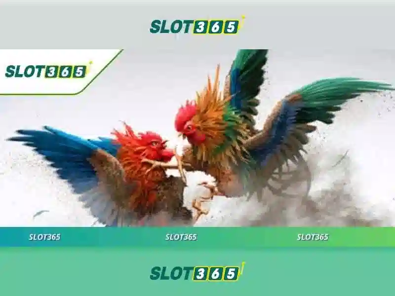 Slot365 là gì?