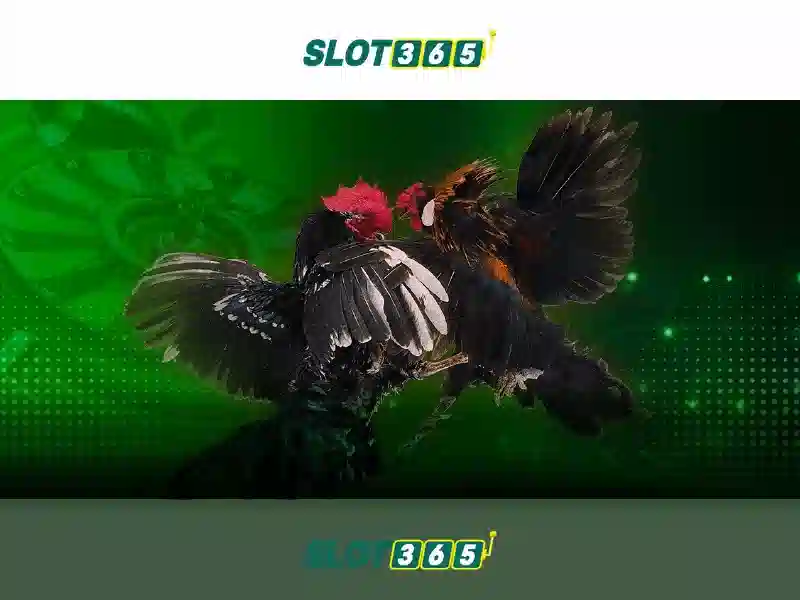 Tại sao chọn Slot365