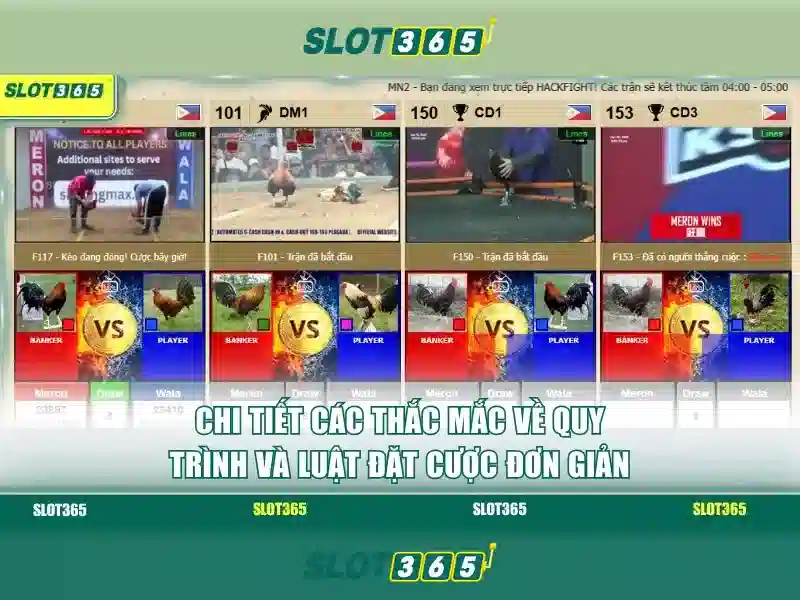 An toàn và bảo mật khi tham gia