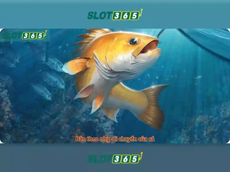 Slot365 - Nền tảng cá cược trực tuyến nổi bật tại Việt Nam