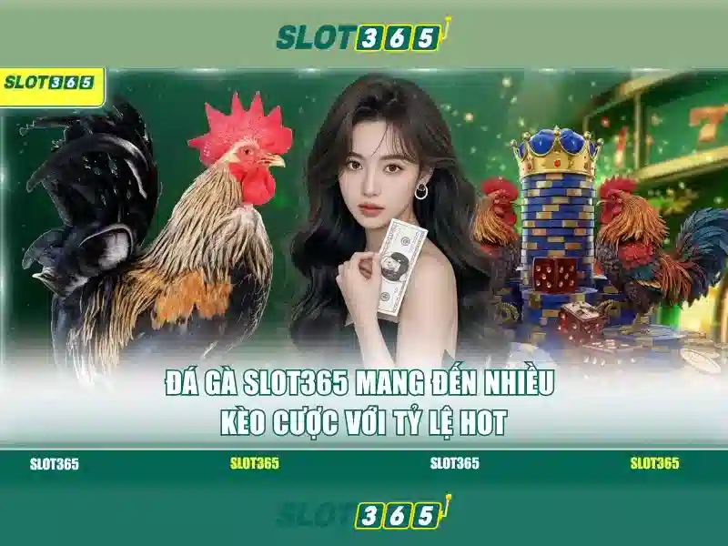 An toàn và hỗ trợ người chơi