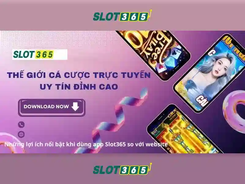 Trải nghiệm người dùng và giao diện