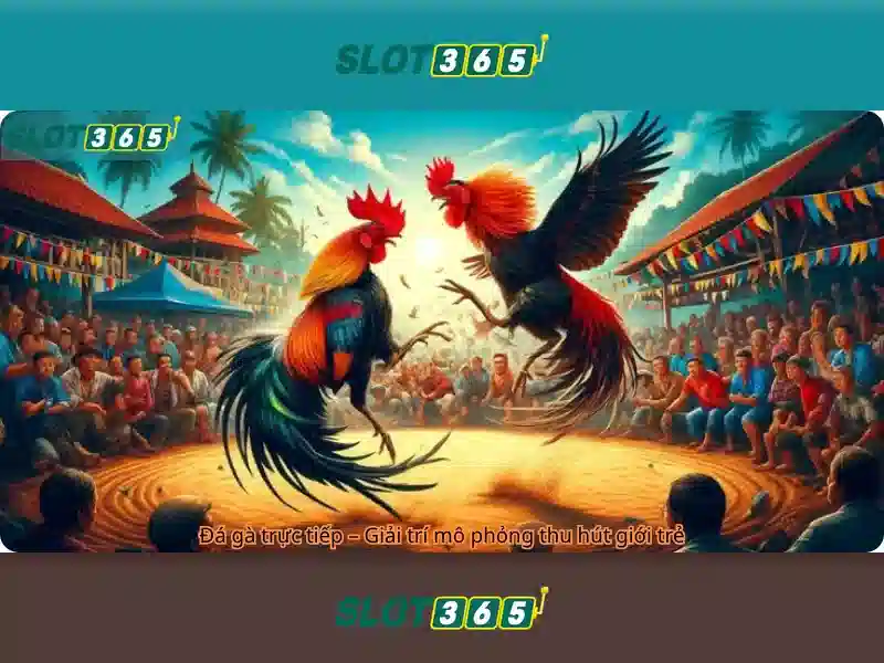 Slot365 - Tong quan ve nen tang may danh bac truc tuyen