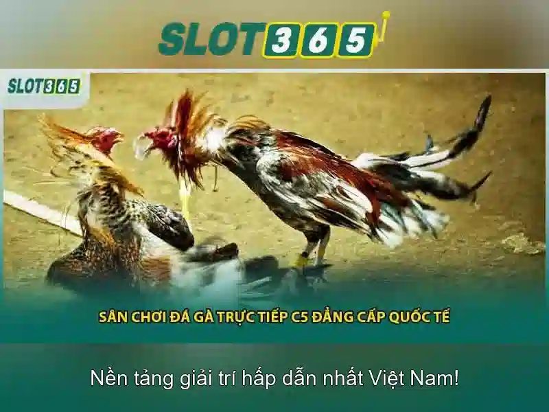 Giao diện thân thiện và trải nghiệm người dùng
