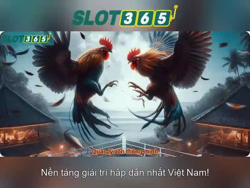 Cung cap tro choi va nha phat trien