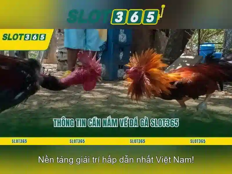 Slot365 là nền tảng slot trực tuyến phổ biến