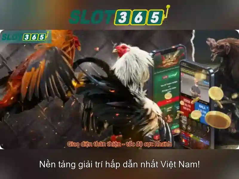 Khuyến mãi và chương trình thưởng