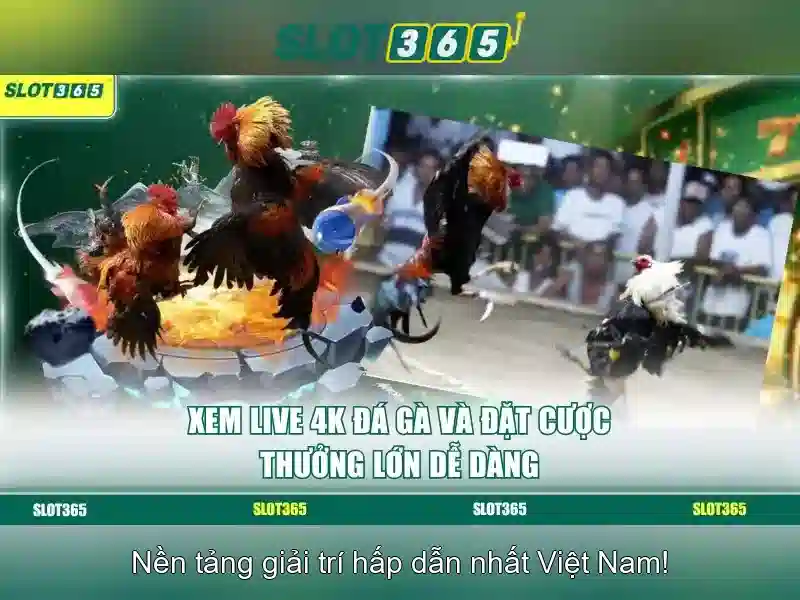 An toàn thanh toán và bảo mật