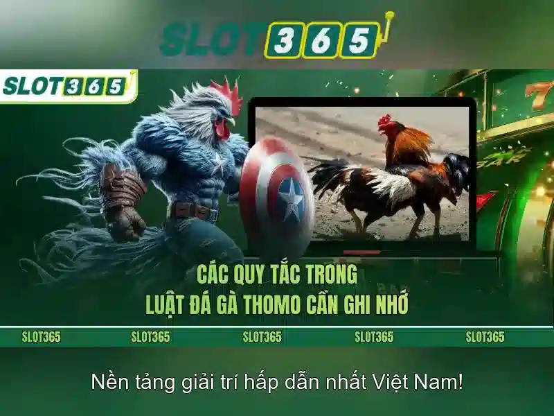 Slot365: Tổng quan về nền tảng
