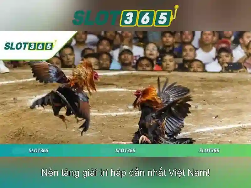 Slot365: Nền tảng Slot Trực Tuyến Đa Năng