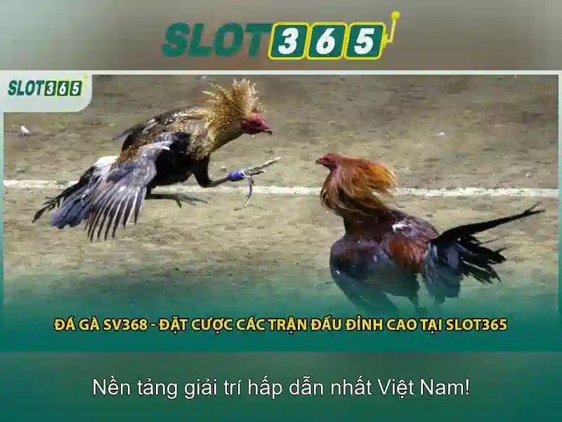 Tính năng nổi bật và khuyến mãi