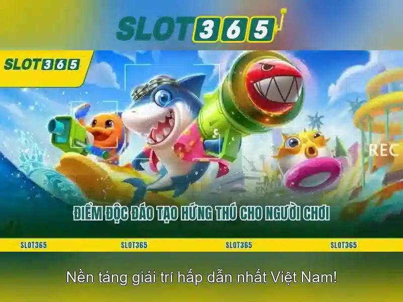 Kết luận và mẹo tối ưu