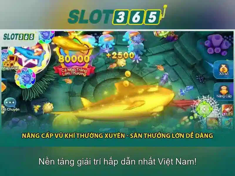 Khuyến mãi và thanh toán