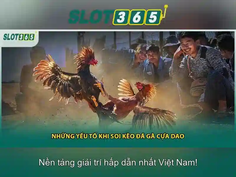 E-E-A-T-trong-binh-luan