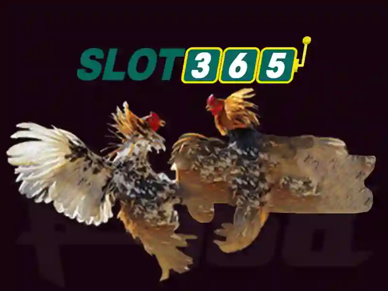 Slot365 là một nền tảng trò chơi máy xèng trực tuyến
