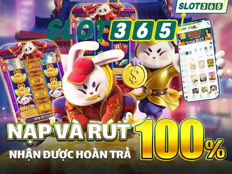 Giao diện người dùng và trải nghiệm di động