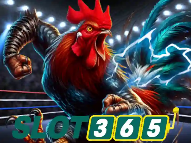 Slot365: Nền tảng cá cược trực tuyến hàng đầu